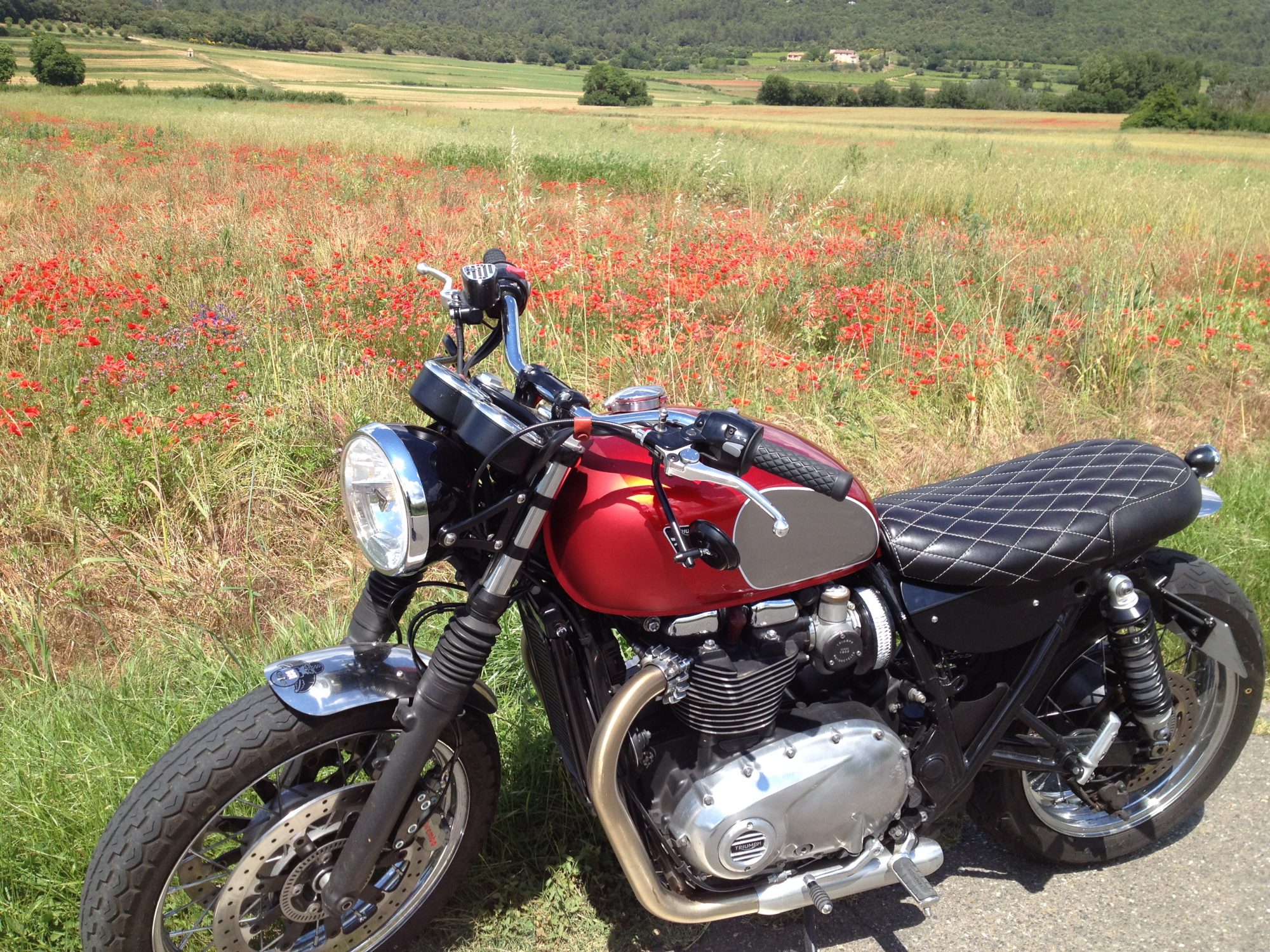 Location moto Triumph Alpes-Maritimes